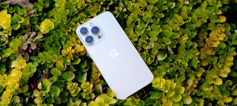 iPhone 13 Pro laying on a bed of plants