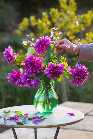 Sarah Raven’s favourite varieties of dahlia