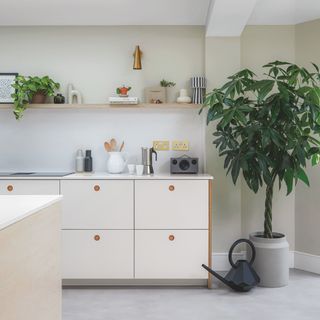 white and pale green kitchen with handleless drawers, grey tiled floor, open plan plywood shelving, plants, brass wall light, white worktop