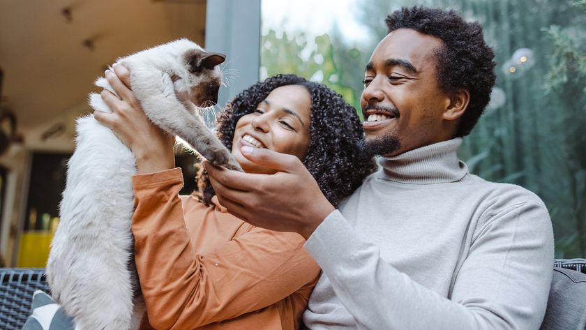 Couple cuddling and interacting with pet cat