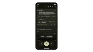 gemini nano summarize recorder app feature