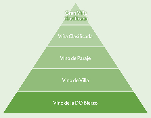 Bierzo wines classification