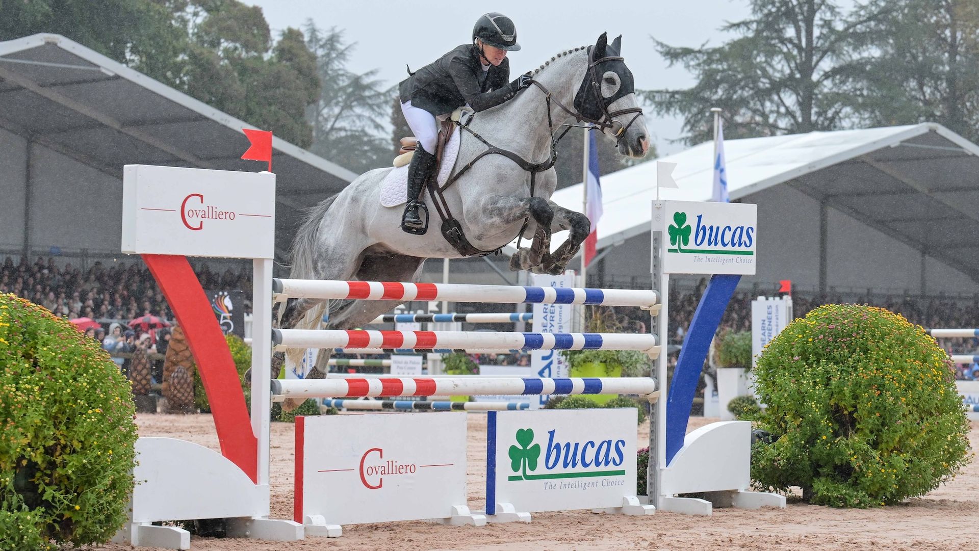 Jonelle Price and Senor Crocodillo third at pau behind winner Tim Price