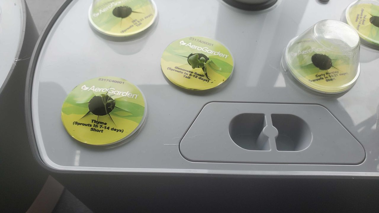 plants growing in AeroGarden Harvest