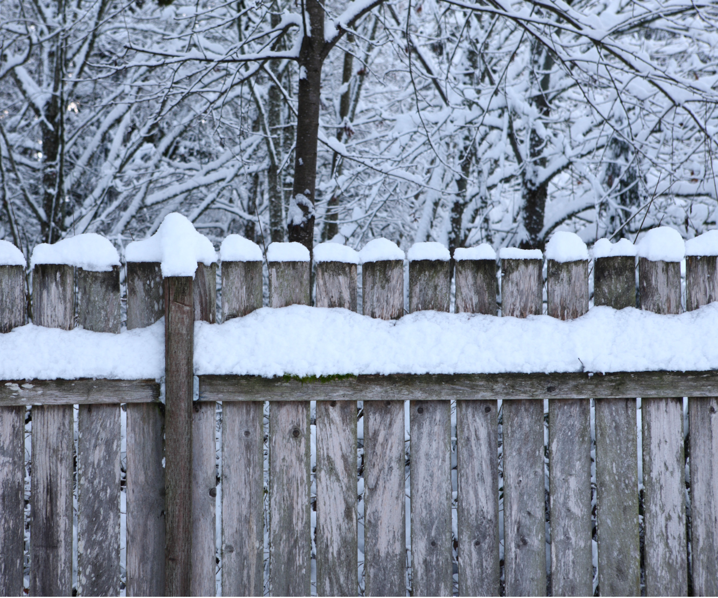 Snow on wooden fence