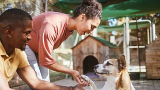 Two men playing with dog