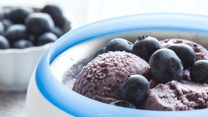 Zoku Ice Cream Maker filled with blueberries and blueberry sorbet with blueberries in the background