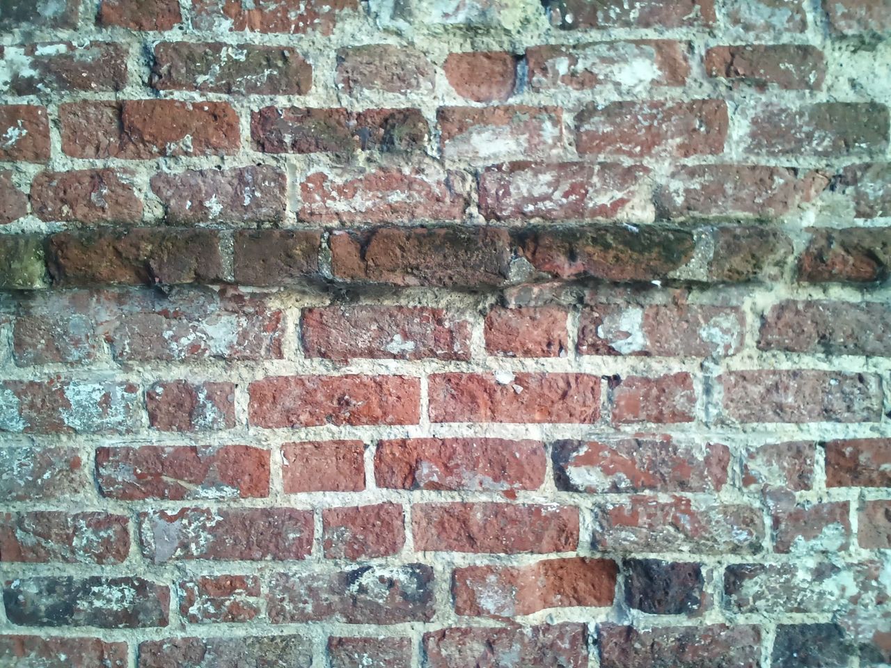Close up of a brick wall