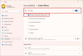 Enable Color filter on Windows 11