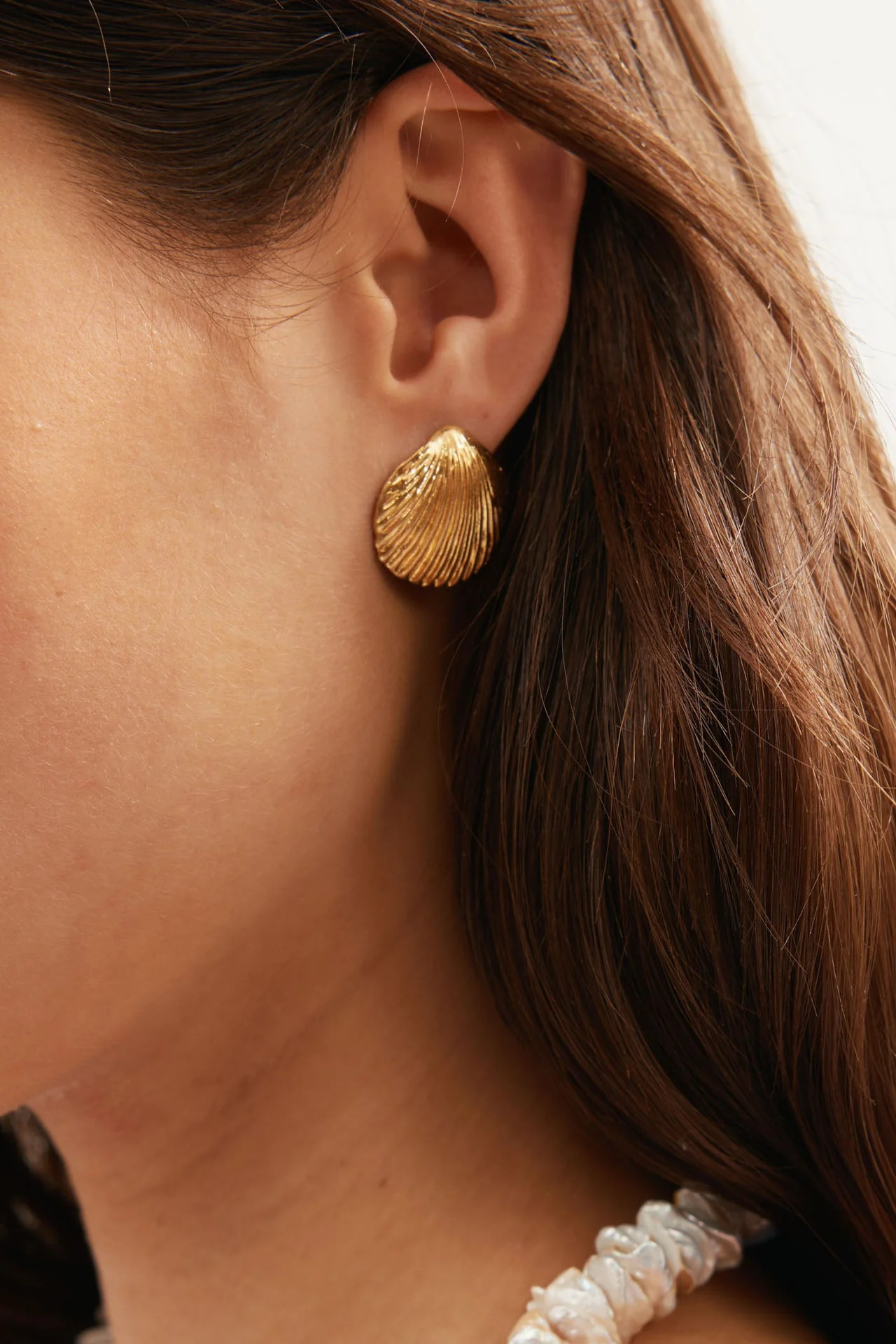 Seashell gold earrings