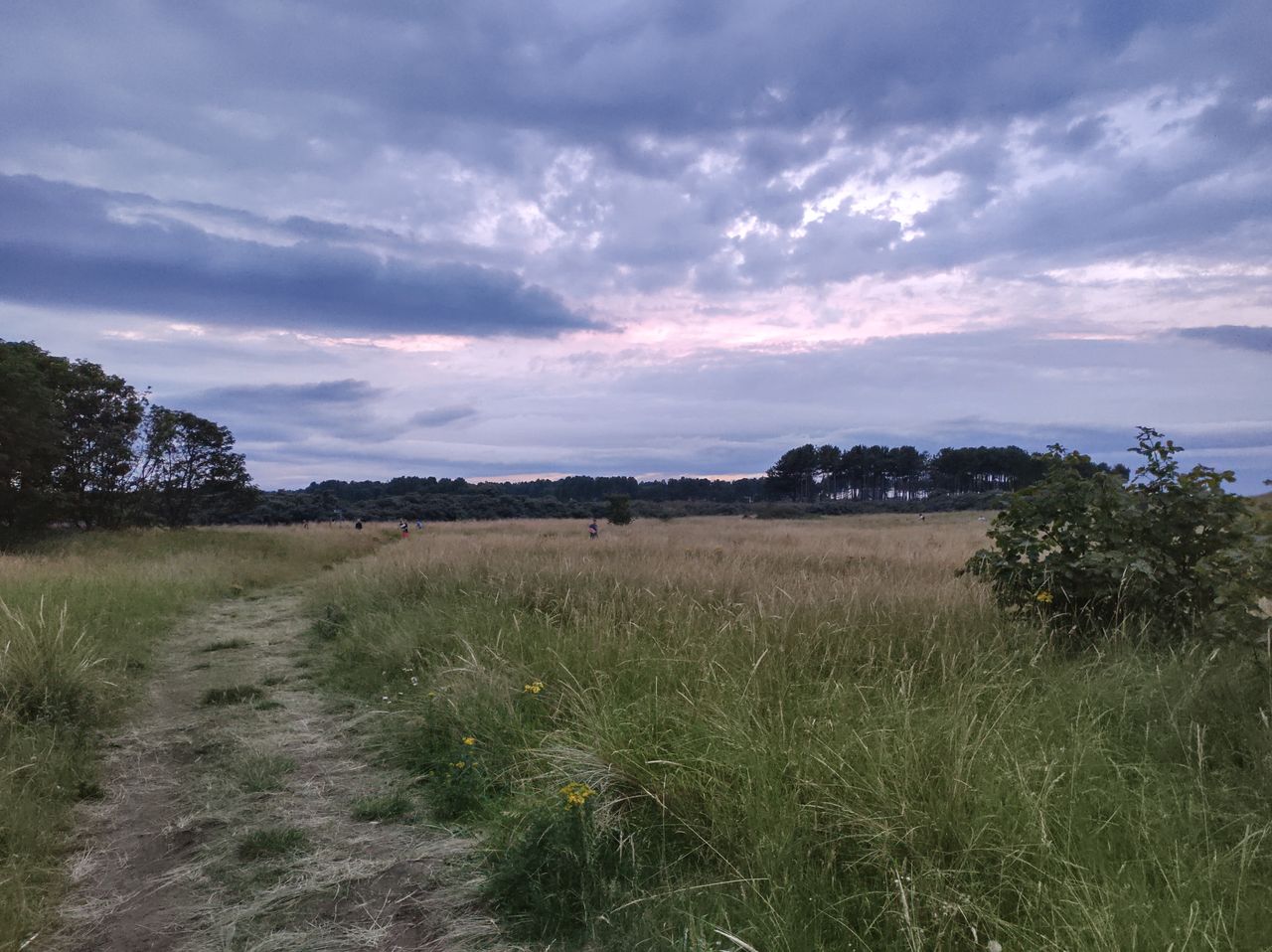 HDR can sometimes flatten scenes too much.