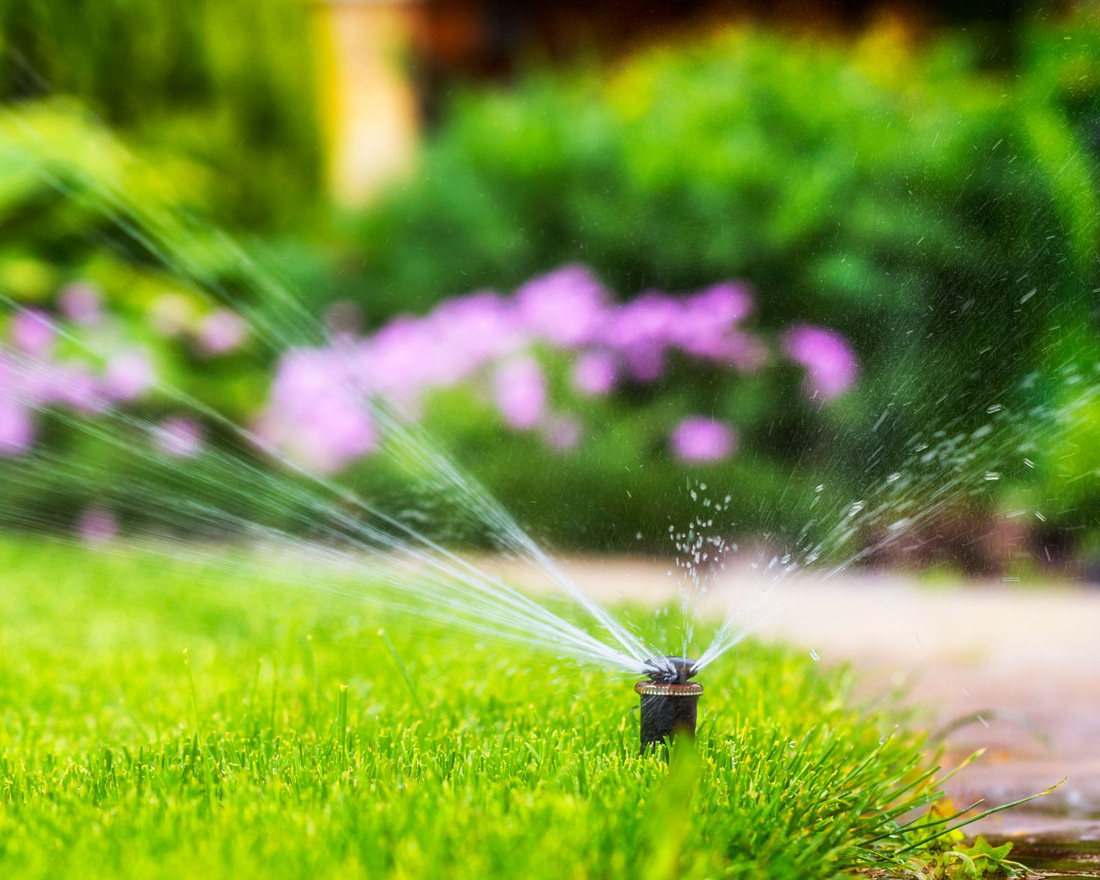 How to replace a sprinkler head a stepbystep guide Gardeningetc