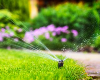 sprinkler watering a lawn in summer
