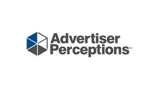 Advertiser Perceptions