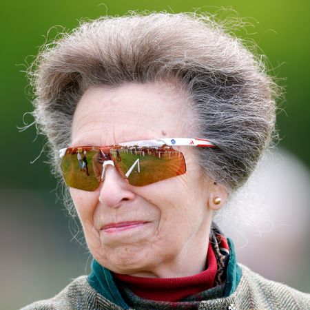 Princess Anne wearing sunglasses and smirking