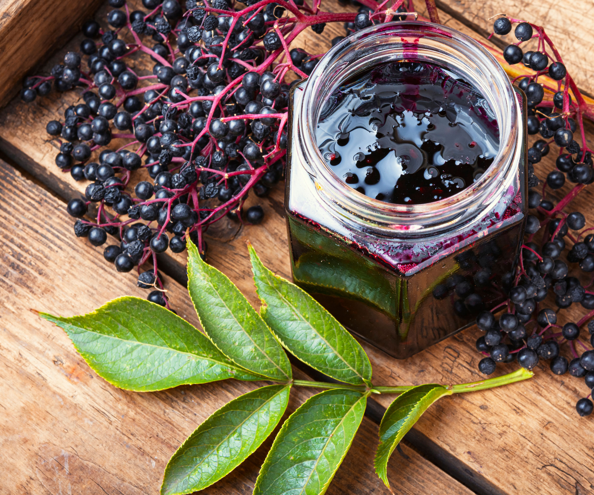 elderberry fruits and jar of elderberry preserve