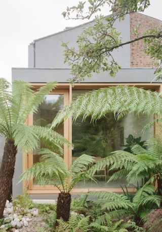 Rear view exterior engulfed in foliage of low-energy home by Architecture For London