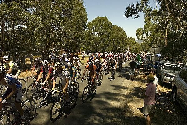 The peloton on the climb up Mt.Buninyong during the men's road race.