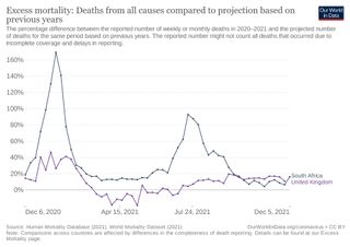 Chart of excess deaths