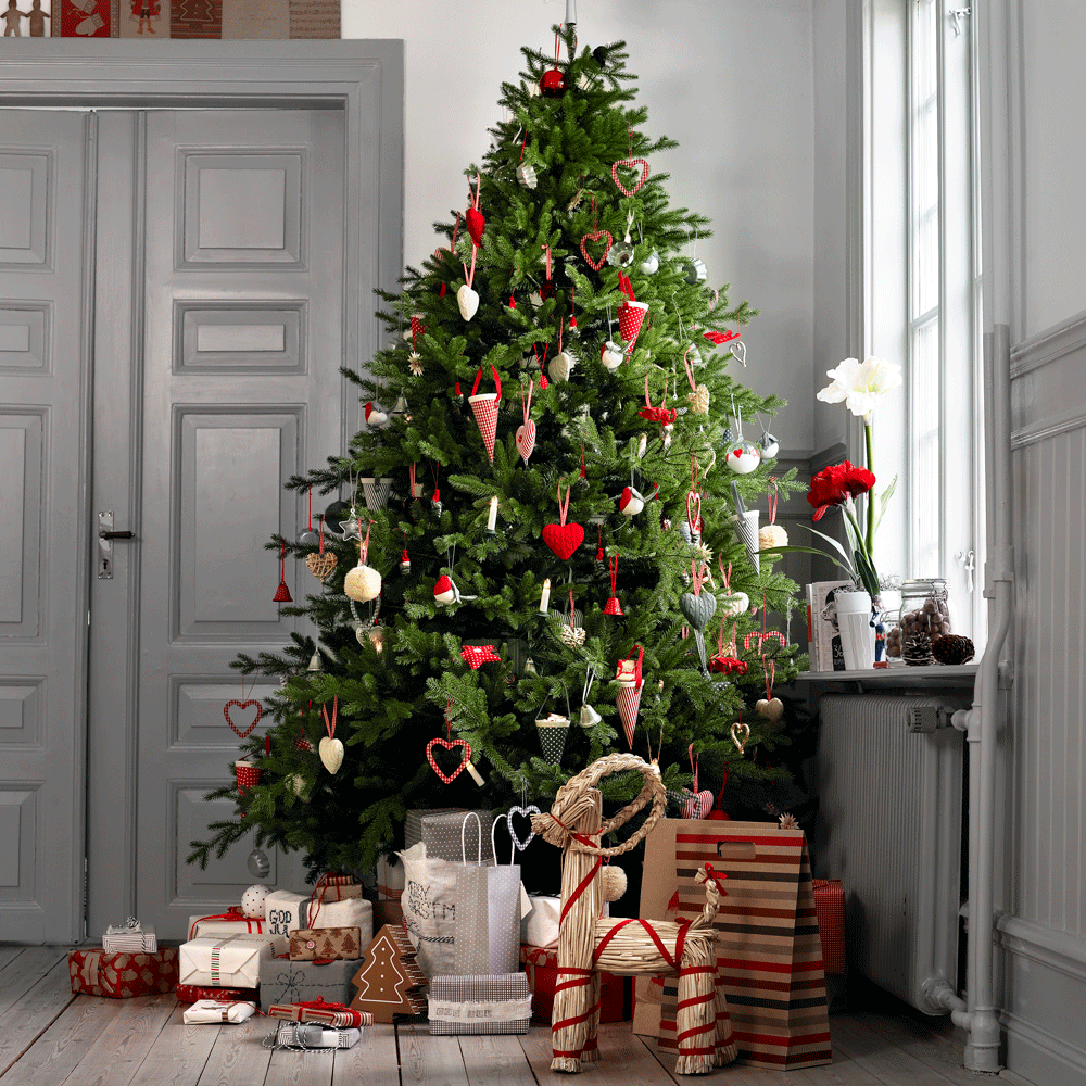 room with gray wall and door christmas tree gifts on wooden floor