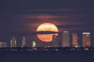 The supermoon rises over Tampa, Florida, on Dec. 3, 2017, in this shot by astrophotographer Jacob Zimmer.