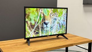 RCA Roku TV 24-inch (RK24HF1) small TV slight angle on wooden TV bench showing tiger on screen