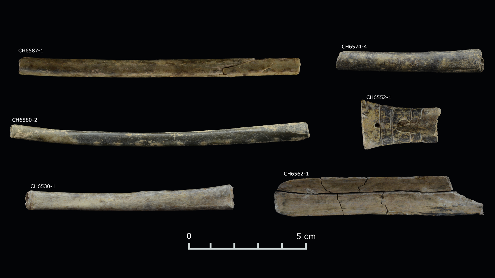 Bone tubes against a black background