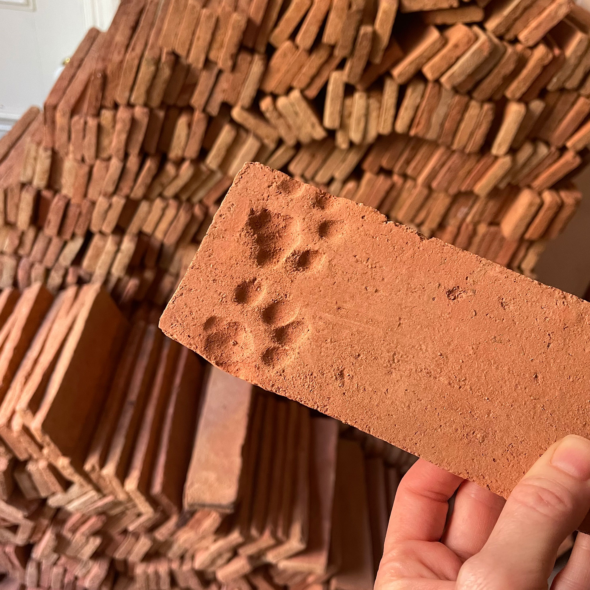 Paw print in terracotta tile