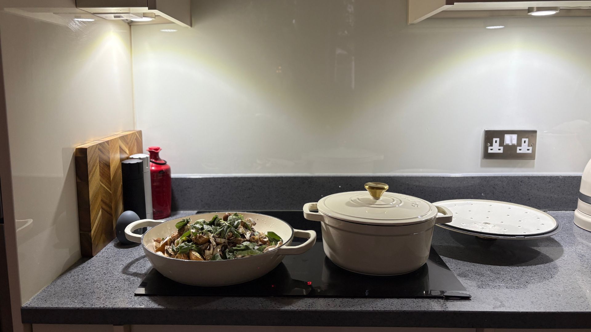 Testing the Salter Chester Cast Iron