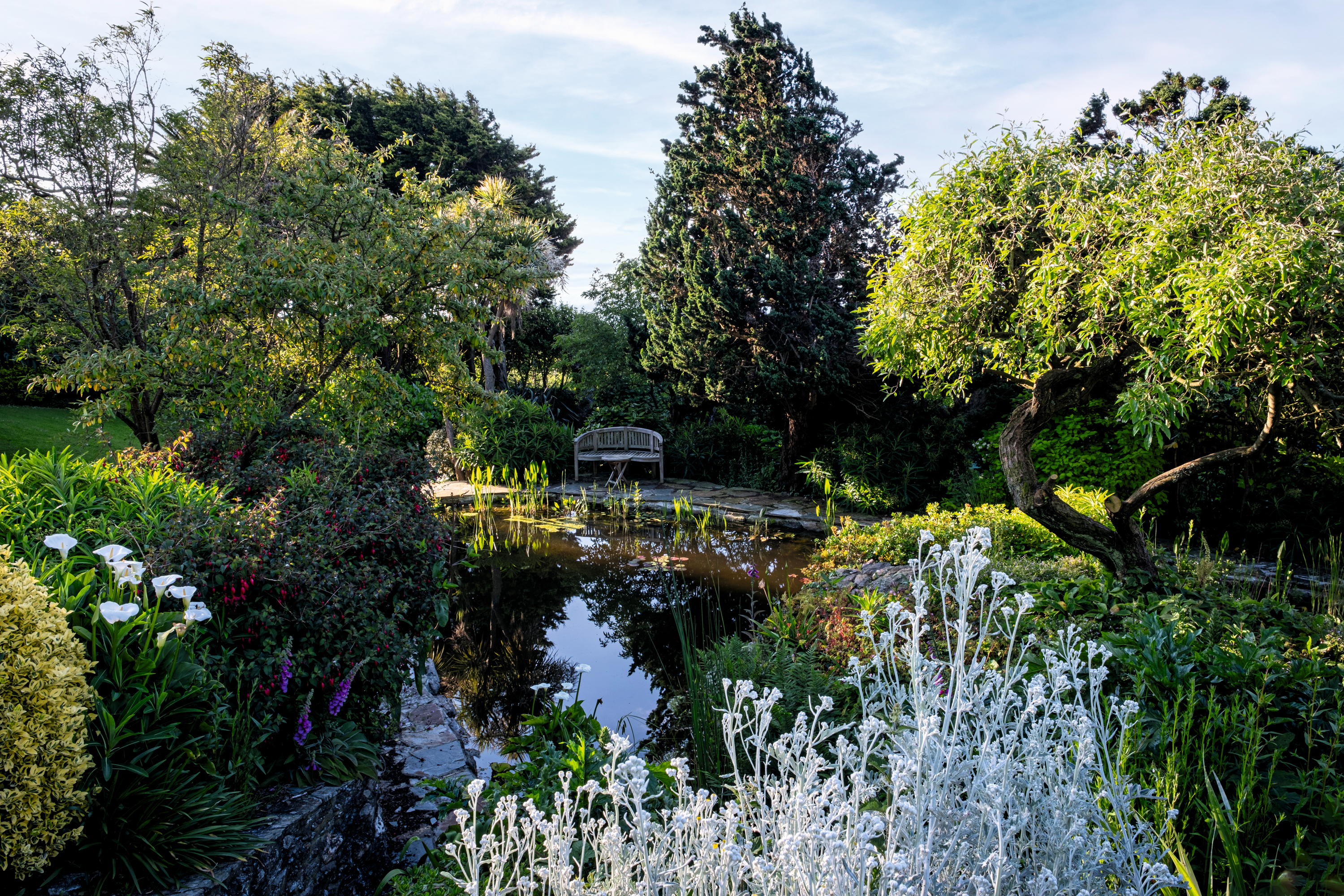 The garden at Ash Park in the South Hams in Devon