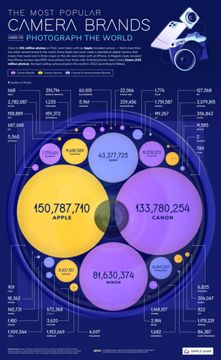 Infographic showing the most popular camera brands, as used by Flickr contributors