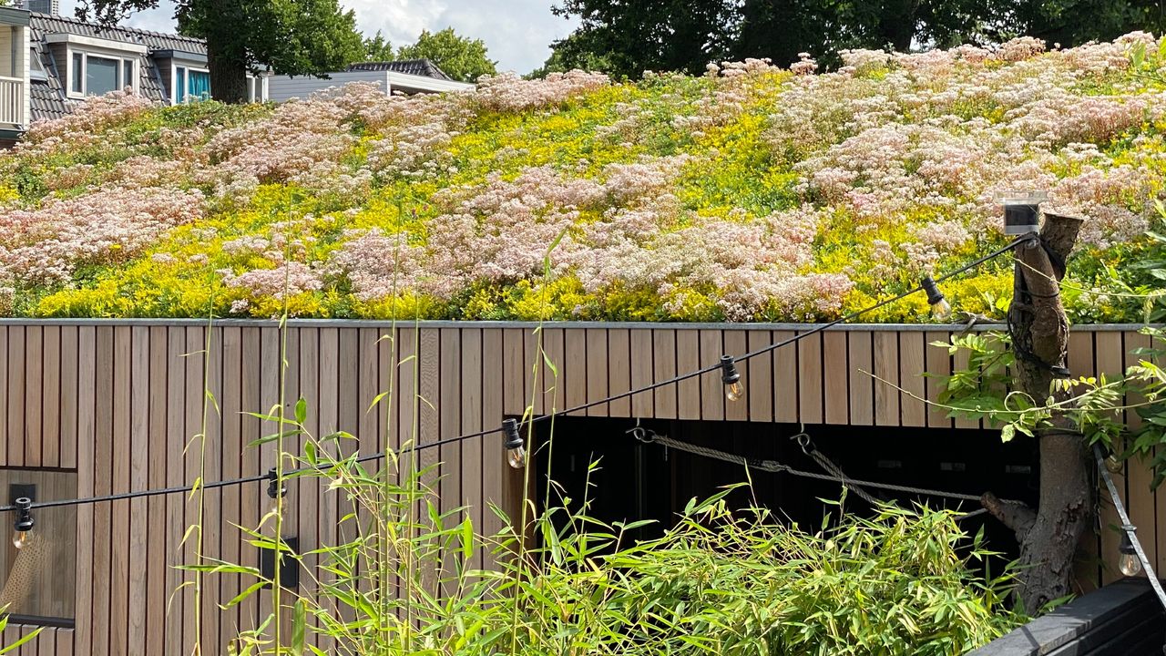 A green roof on a wood-panelled house