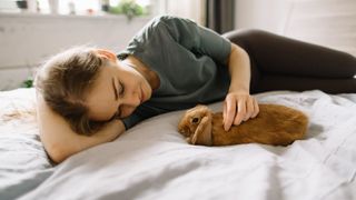 Rabbit being stroked by person on the bed