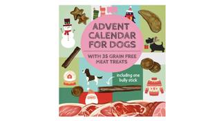 Fresco 2021 Advent Calendar for Dogs