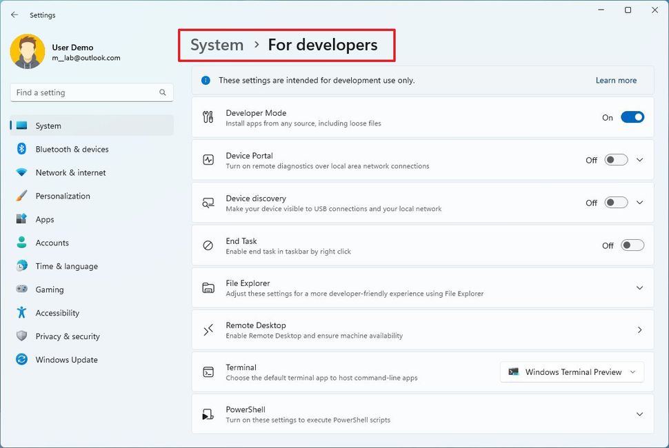 Microsoft's latest Windows 11 Dev build brings a LOT of new changes ...