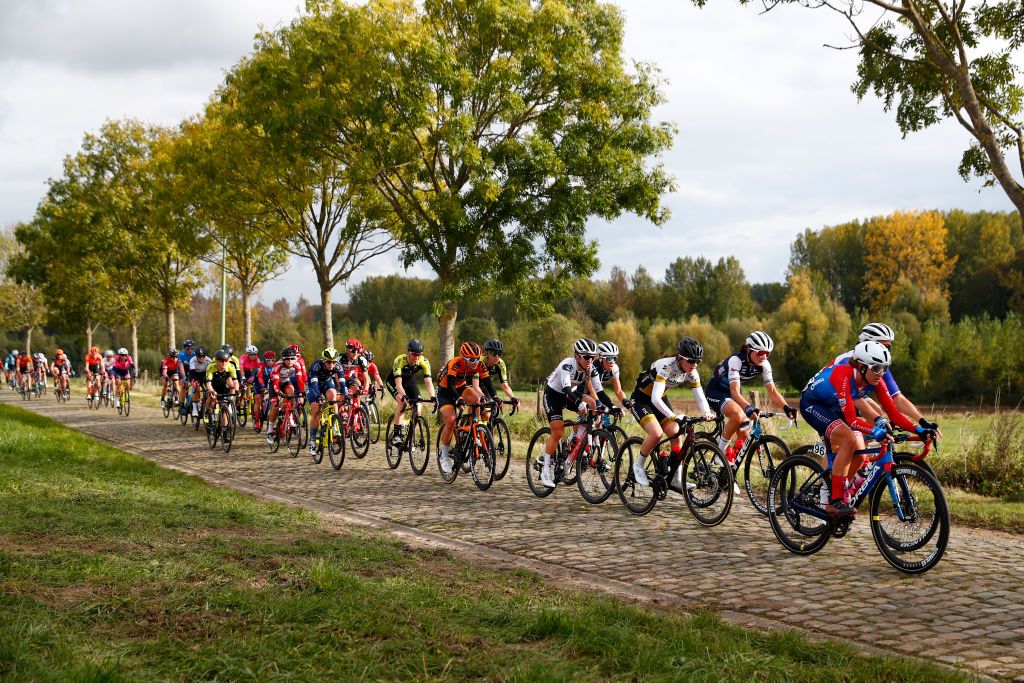 OUDENAARDE BELGIUM OCTOBER 18 Lea Lin Teutenberg of Germany and Ceratizit WNT Pro Cycling Team Elisa Longo Borghini of Italy and Team Trek Segafredo Jessica Allen of Australia and Team Mitchelton Scott Sarah Roy of Australia and Team Mitchelton Scott Peloton Cobblestones Landscape during the 17th Tour of Flanders 2020 Ronde van Vlaanderen Women Elite a 1356km stage from Oudenaarde to Oudenaarde RVV20 FlandersClassic on October 18 2020 in Oudenaarde Belgium Photo by Bas CzerwinskiGetty Images