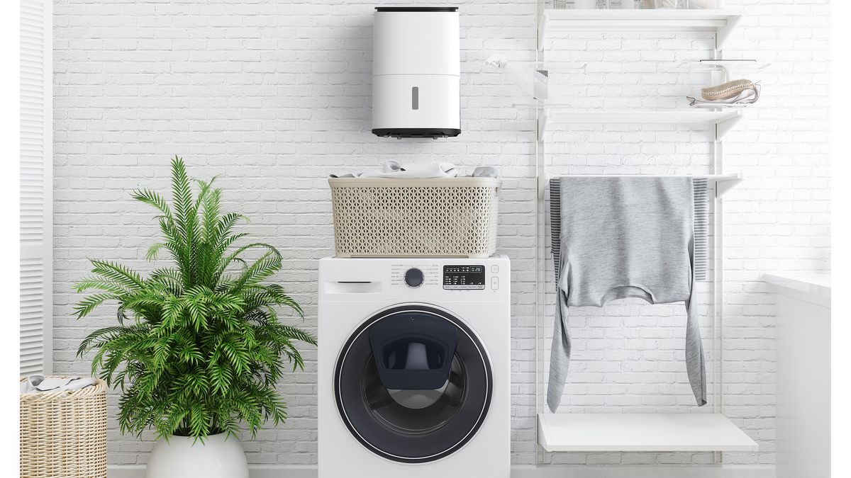 Dehumidifier running costs What to expect and how to save Homebuilding