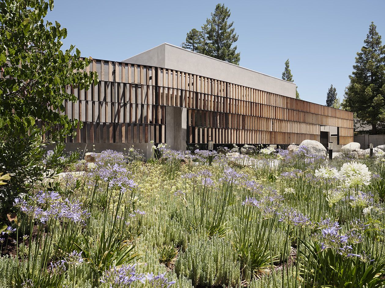 exterior of eco-friendly synagogue among garden in bloom