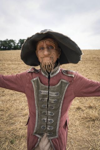 Mackenzie Crook as Worzel Gummidge