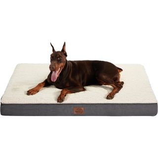 Bedsure Jumbo Dog Bed for Large Dogs