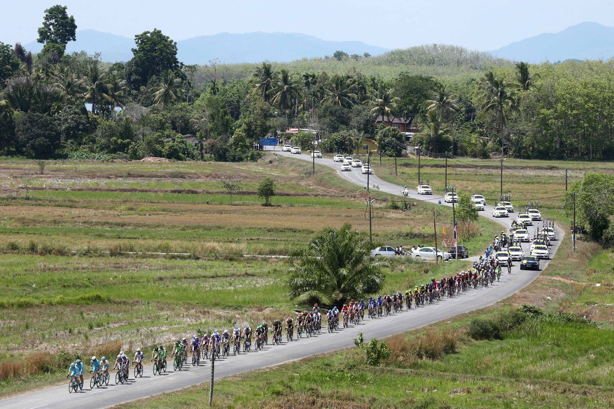 The peloton in one long line