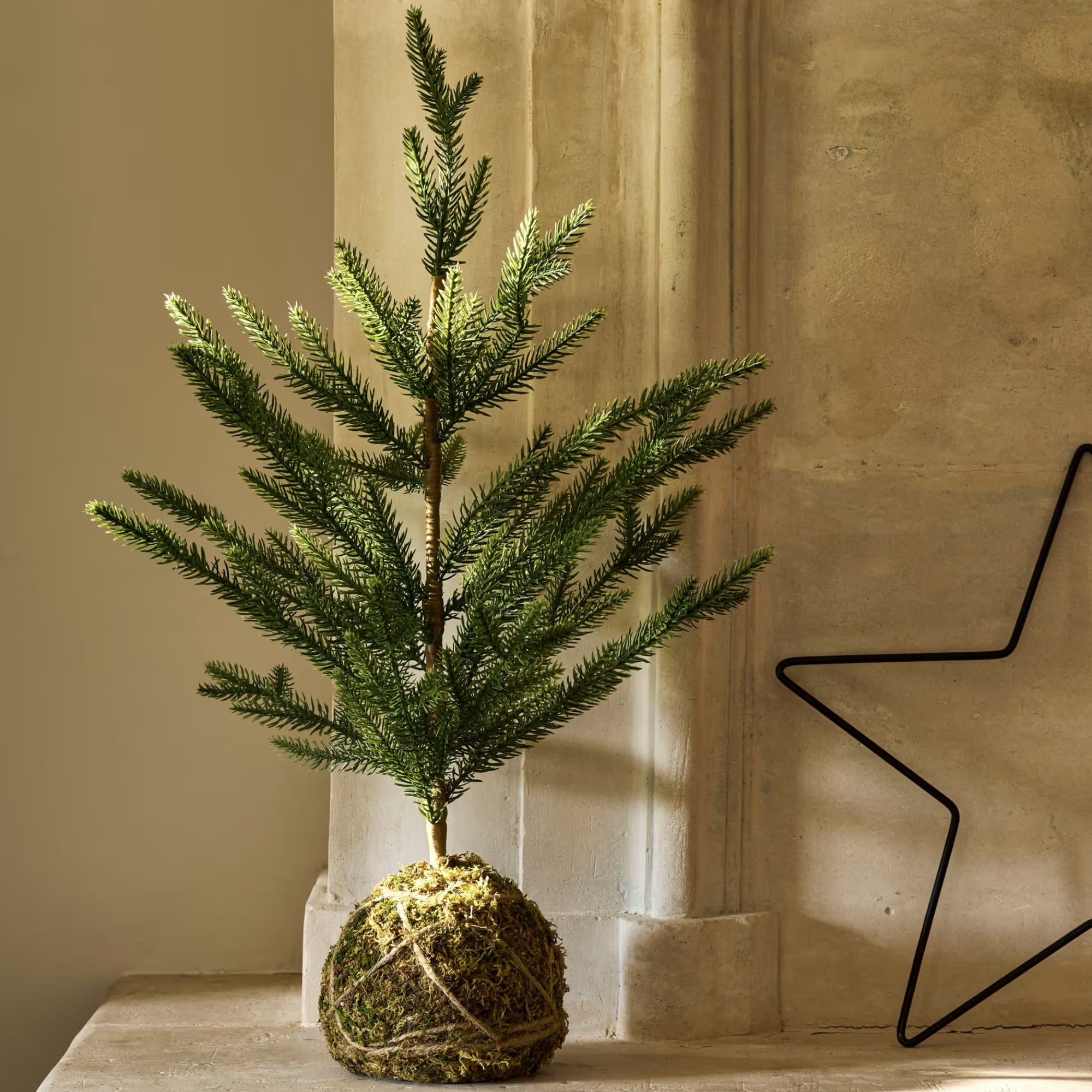 moss ball mini tree 