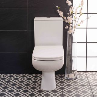 Toilet Buying Guide, How to Choose a Toilet