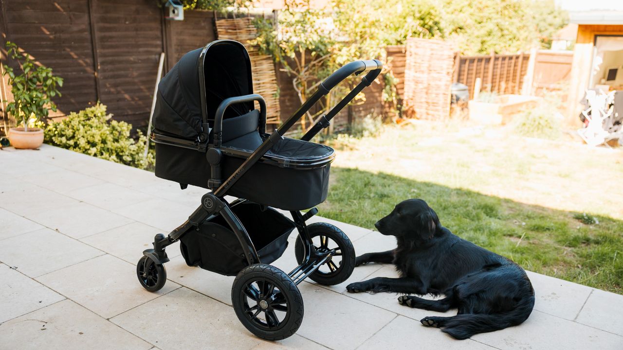 The Ickle Bubba Stomp Luxe Elements pram in a garden