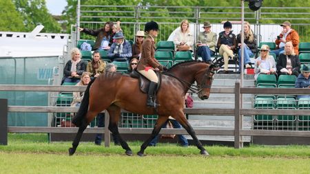 Royal Illusion and Claudia De La Hey trot to the intermediate championship at Royal Windsor in 2026