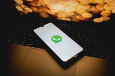 Smartphone showing WhatsApp logo