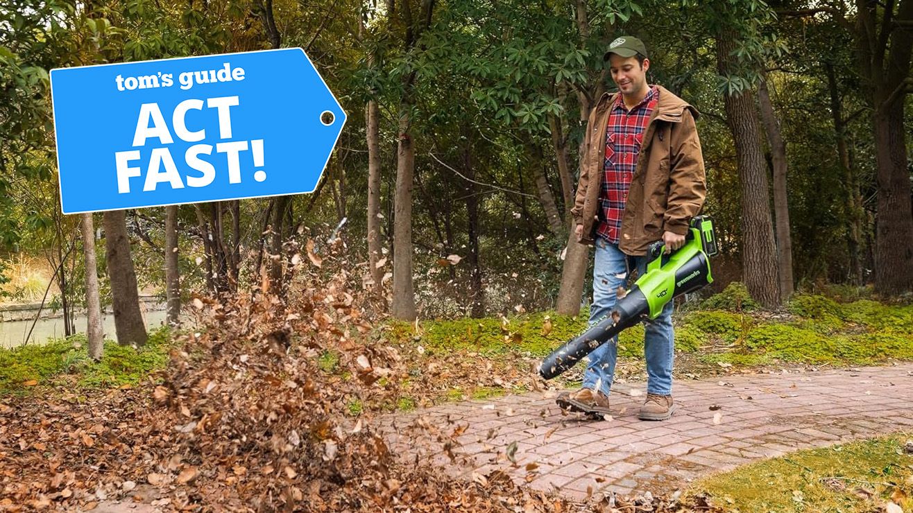 Don't wait for Black Friday — clear your yard now with my top 3 leaf blower deals from $119