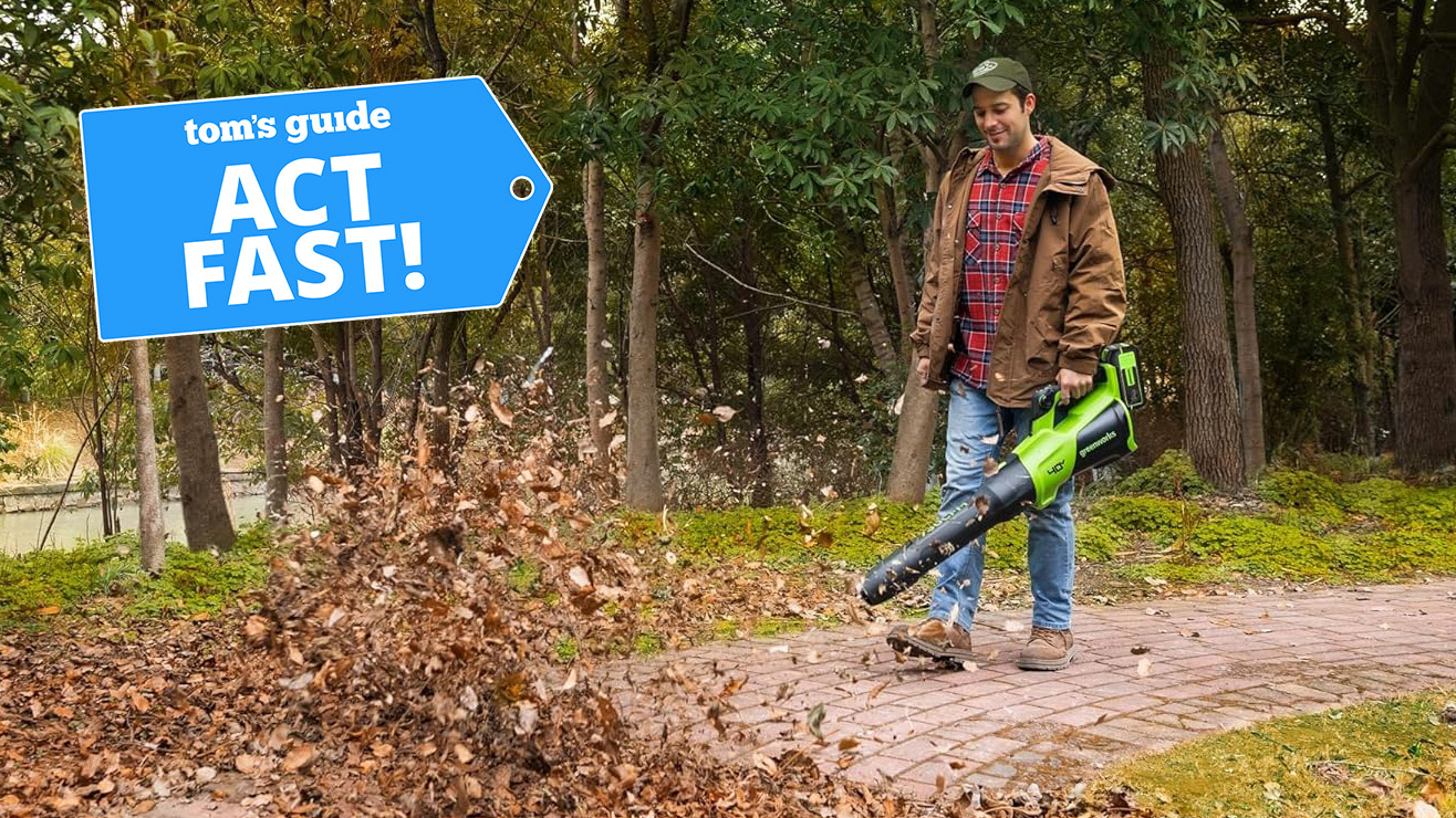 Greenworks 40V Leaf blower