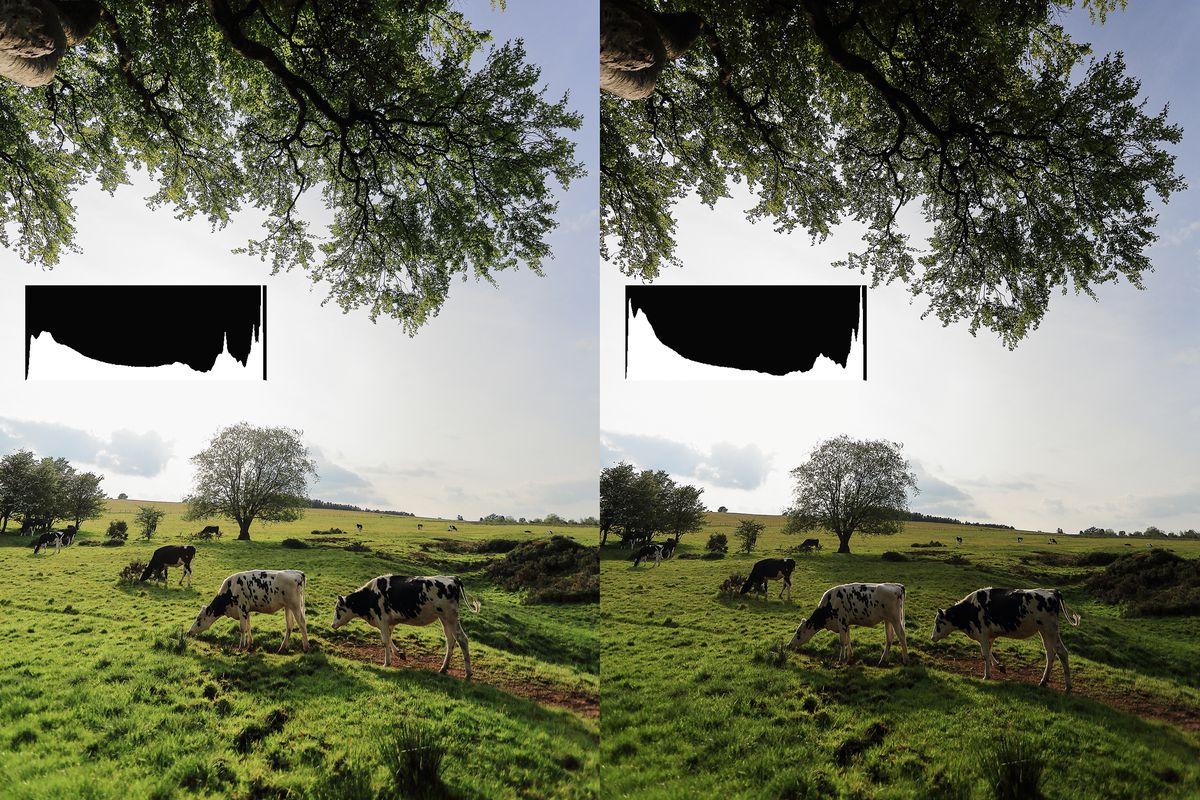 Canon School how to use Canon's Auto Lighting Optimizer camera setting