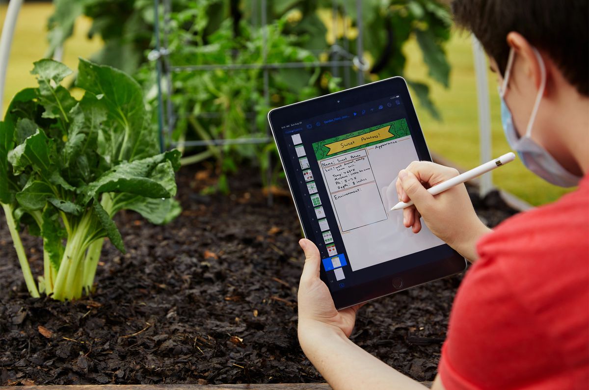 Apple Ipad Used In School Garden